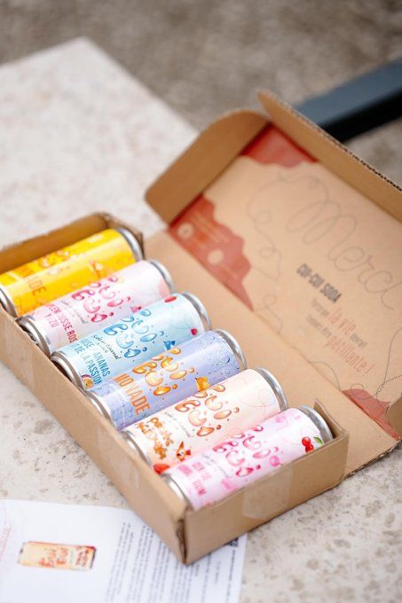 COMPOSE TA BOX AVEC 6 SODAS 33 cl AU CHOIX