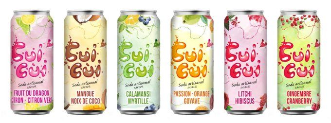 Box " EXOTIQUE" 6 Sodas 33CL