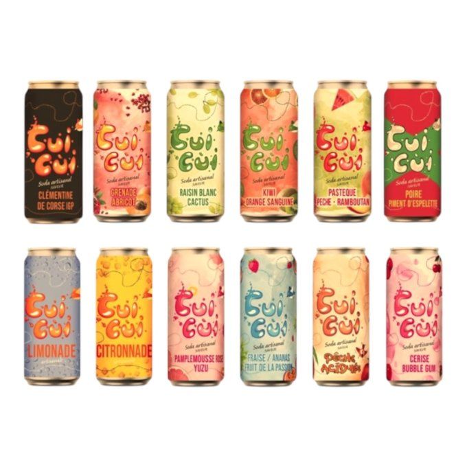 12 CANETTES  33CL "GAMME FRUITÉ" ET GAMME SOLEIL"