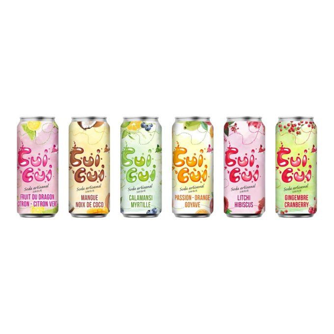 12 CANETTES  33CL "GAMME FRUITÉ" ET GAMME "EXOTIQUE"