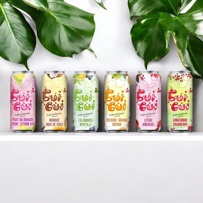 12 CANETTES  33CL "GAMME FRUITÉ" ET GAMME "EXOTIQUE"
