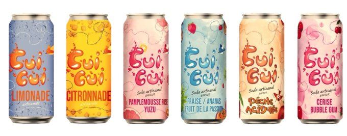 Box "FRUITÉE " 6 sodas 33CL 