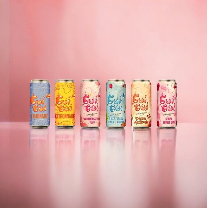 Box "FRUITÉE " 6 sodas 33CL 