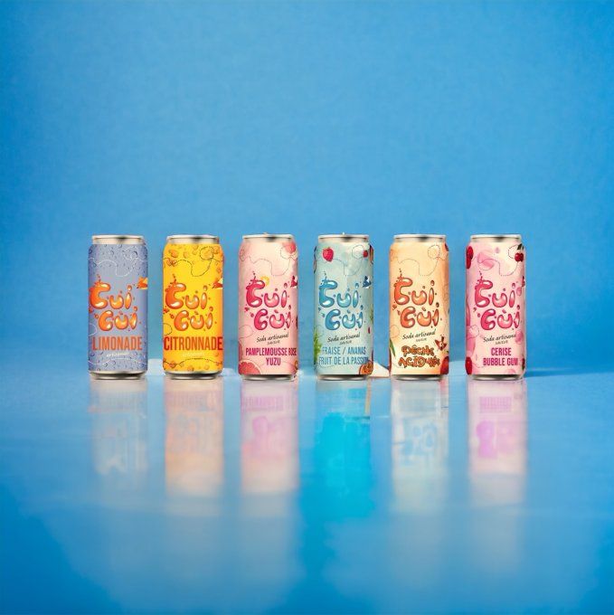 12 CANETTES  33CL "GAMME FRUITÉ" ET GAMME "SOLEIL"