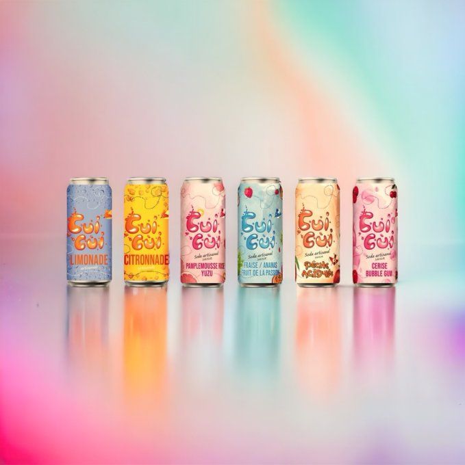 12 CANETTES  33CL "GAMME FRUITÉ" ET GAMME "EXOTIQUE"