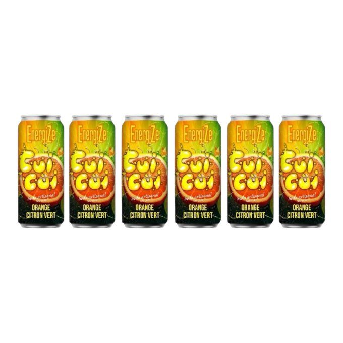 Box "ENERGIZE" 6 Energize Orange - Citron vert 33 CL