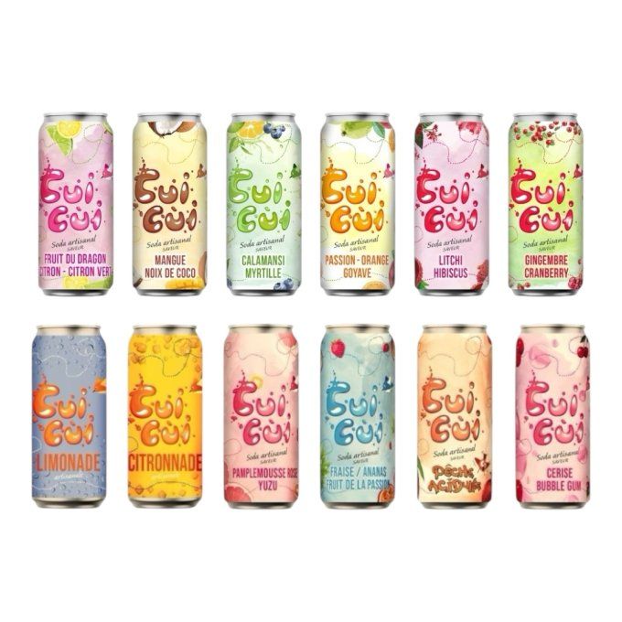 12 CANETTES  33CL "GAMME FRUITÉ" ET GAMME "EXOTIQUE"