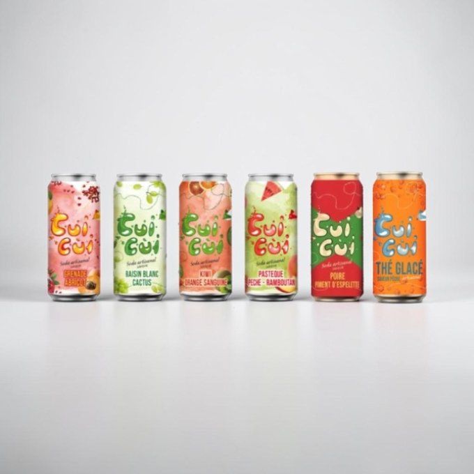 Box " SOLEIL" 6 Sodas 33CL 