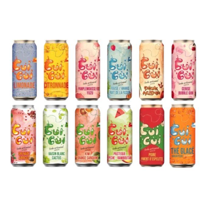 12 CANETTES  33CL "GAMME FRUITÉ" ET GAMME SOLEIL"